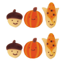 Load image into Gallery viewer, Autumn Friends Assortment Edible Thanksgiving Edible Sugar Decorations Toppers