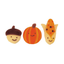 Load image into Gallery viewer, Autumn Friends Assortment Edible Thanksgiving Edible Sugar Decorations Toppers