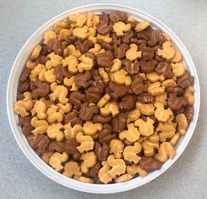 Squirrels Thanksgiving Autumn Edible Confetti Quins Sprinkle Mix
